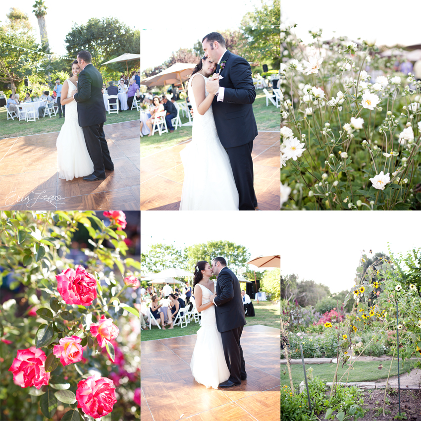 Evanston Botantical Garden Wedding Photographer Illinois Photography-185 Evanston Botantical Garden Wedding Photographer Illinois Photography-185