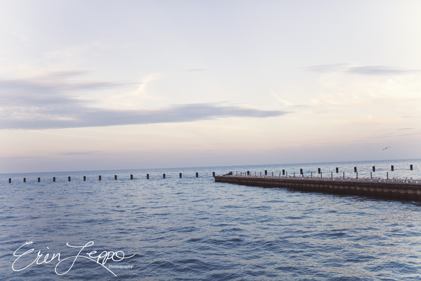 Chicago Wedding Engagement Photographer-19